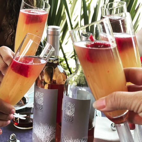 Cocktail con rosado merlot